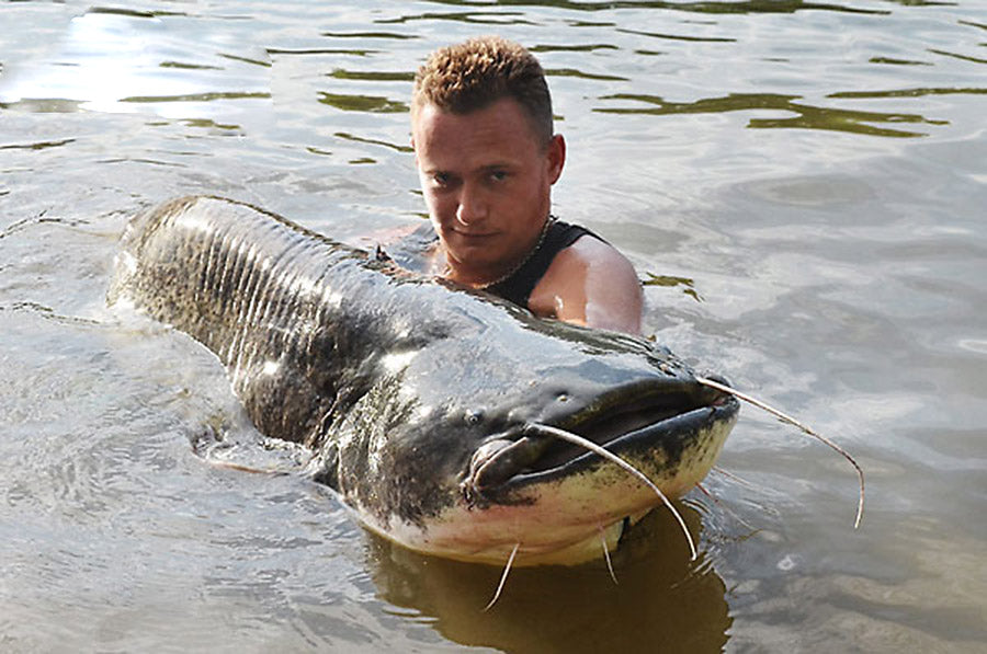 Vitali Dalke Catfishing