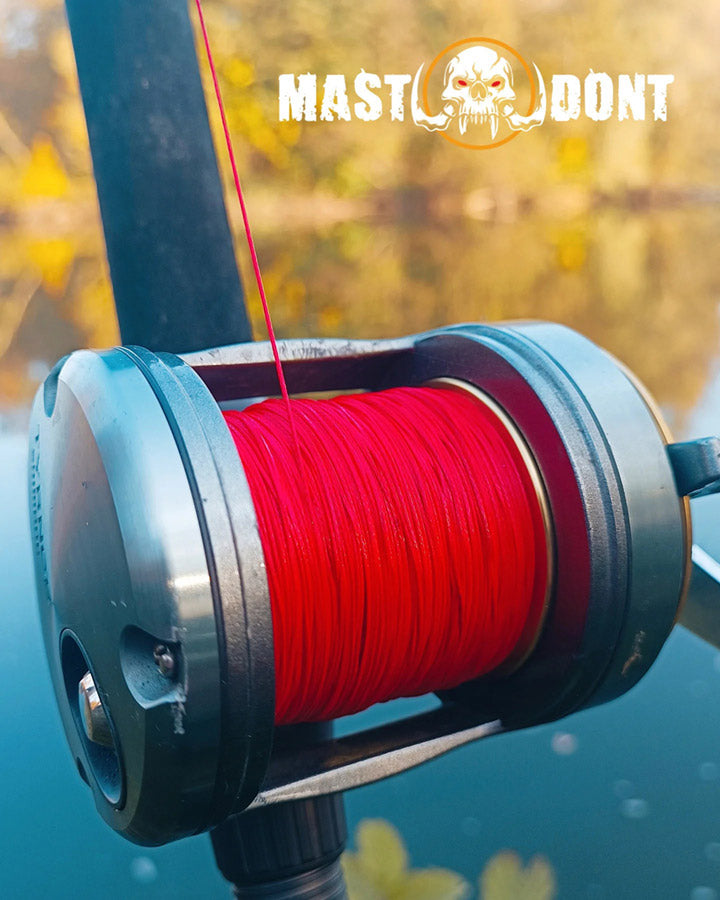 Mastadont Arachnid Wallerschnur Dalke Fishing